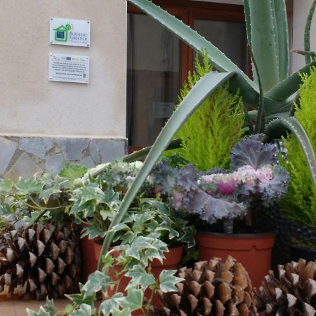 Albergue Turistico Tierras Altas Fuentes de Magana Esterno foto